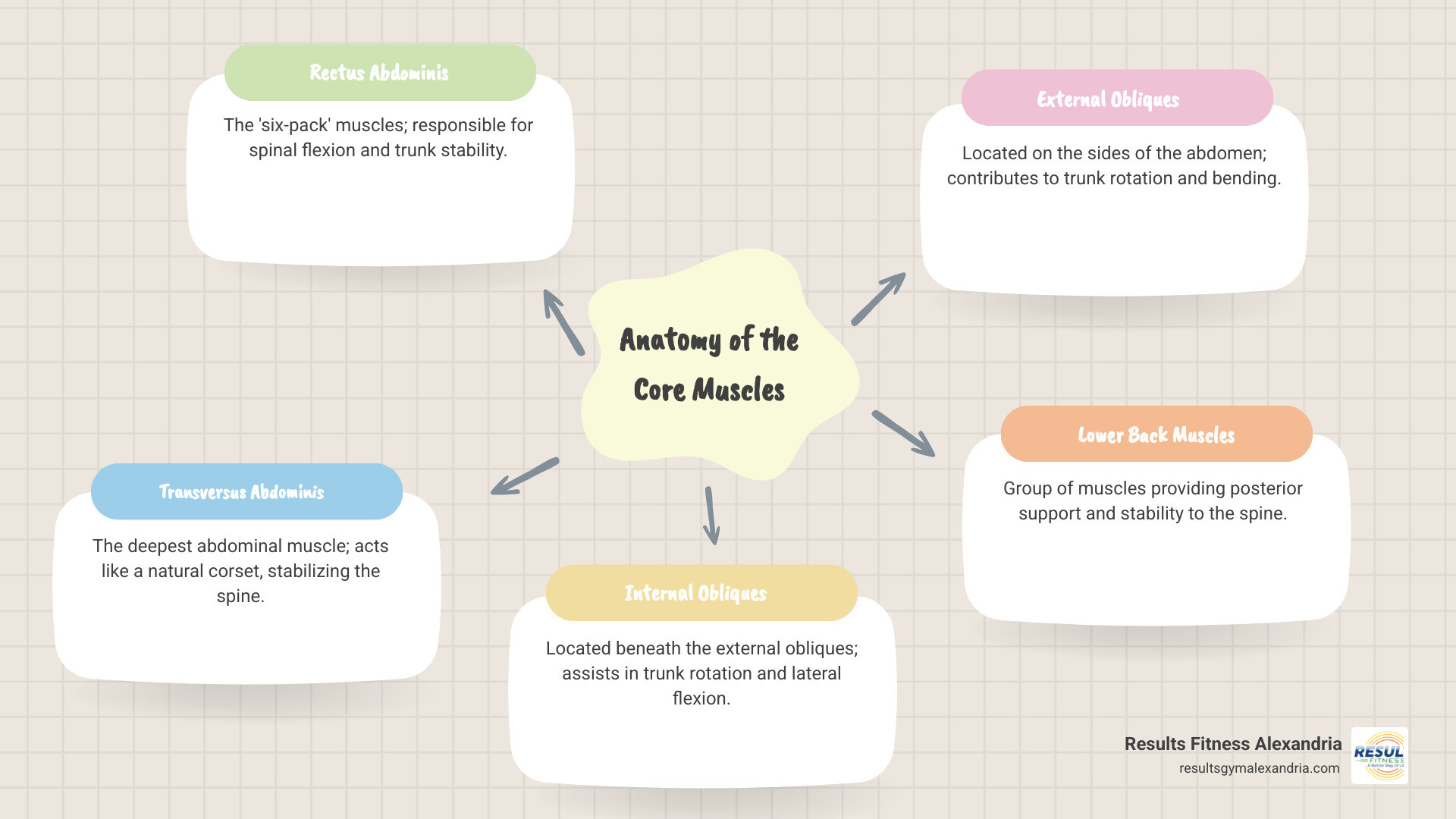 Infographic showing the anatomy of core muscles including rectus abdominis in the front center, transversus abdominis as the deep stabilizing layer, internal and external obliques on the sides, and lower back muscles for posterior support, with arrows indicating how they work together for core stability - abs class workout infographic mindmap-5-items Infographic showing the anatomy of core muscles including rectus abdominis in the front center, transversus abdominis as the deep stabilizing layer, internal and external obliques on the sides, and lower back muscles for posterior support, with arrows indicating how they work together for core stability - abs class workout infographic mindmap-5-items