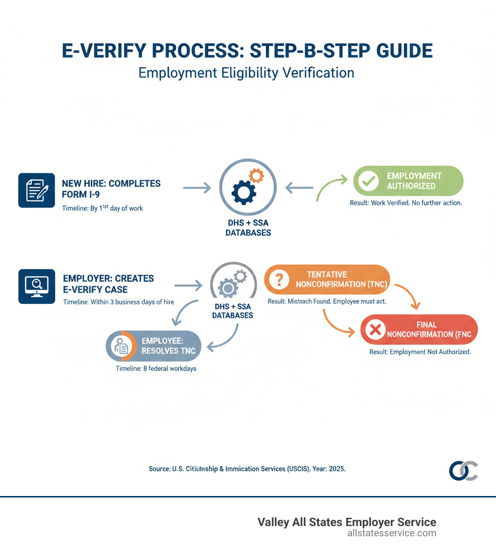 Comprehensive infographic showing the step-by-step E-Verify process from new hire completing Form I-9 through final verification result, including timeline requirements, possible outcomes like Employment Authorized and Tentative Nonconfirmation, and next steps for each scenario - Federal E-Verify program infographic 