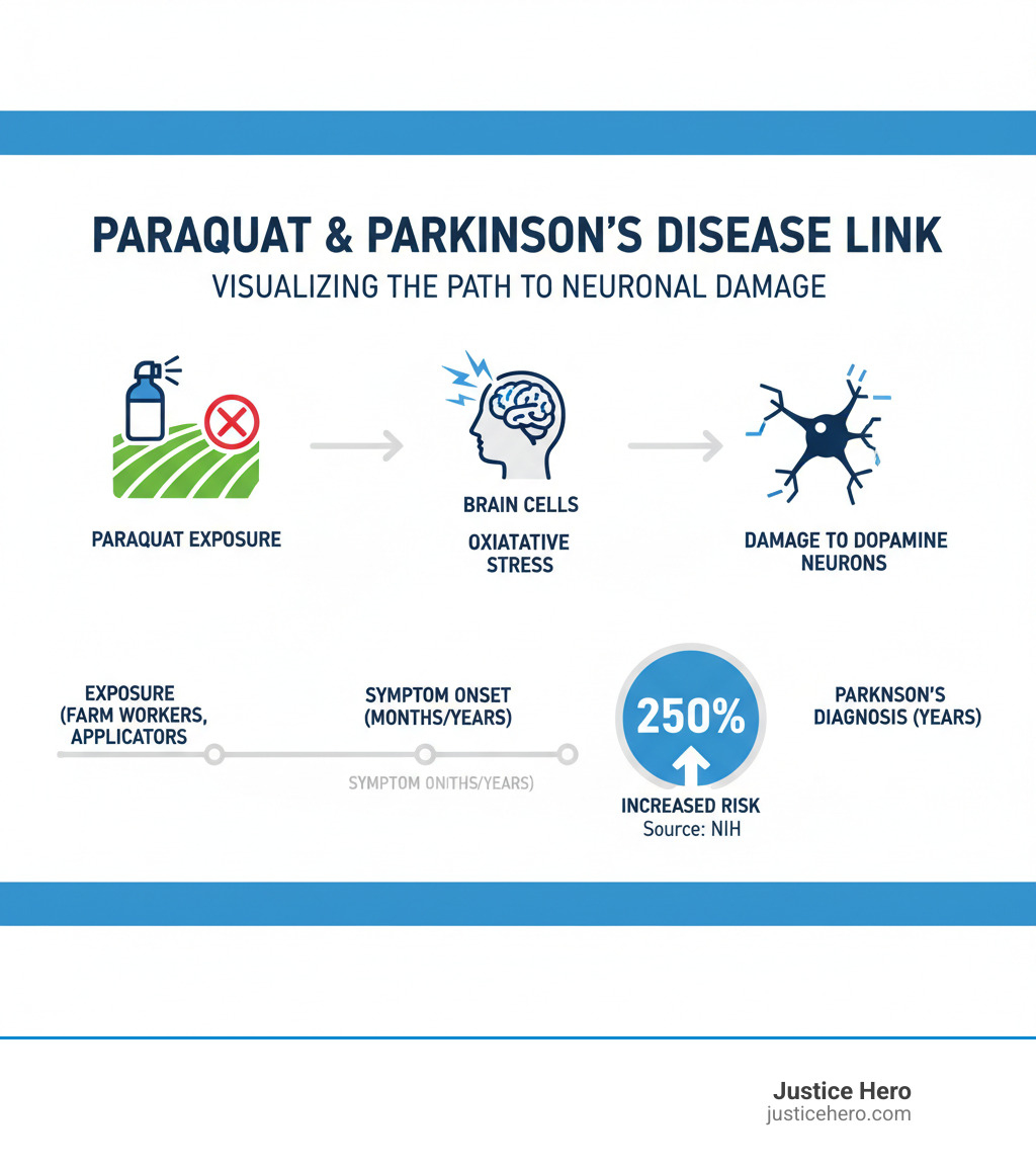 Infographic showing how paraquat exposure leads to oxidative stress in brain cells, damaging dopamine-producing neurons and increasing Parkinson's disease risk by 250%, with timeline from exposure to diagnosis - paraquat lawsuit assistance infographic 