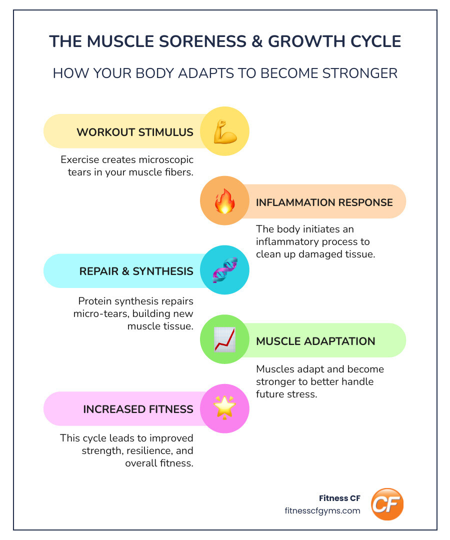 Infographic showing the muscle recovery cycle: exercise creates microscopic tears, inflammation occurs, protein synthesis repairs and strengthens muscle fibers, resulting in stronger muscles and improved fitness - relieve sore muscles infographic infographic-line-5-steps-colors
