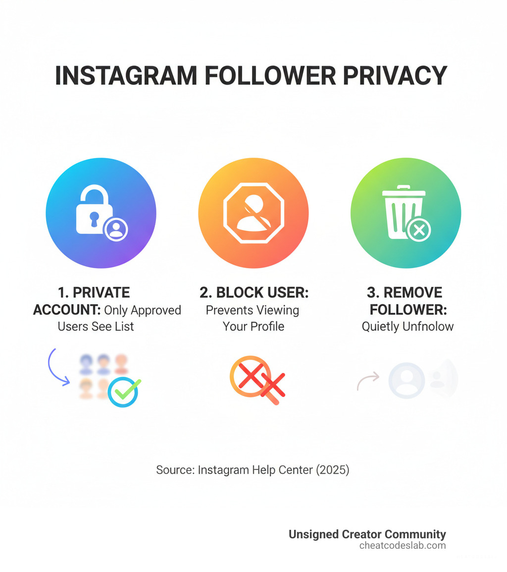 Infographic showing three methods to hide Instagram followers: Private Account toggle showing only approved followers can see your list, Block User option preventing specific individuals from viewing your profile, and Remove Follower feature allowing quiet removal without notification - how to hide followers on instagram infographic 