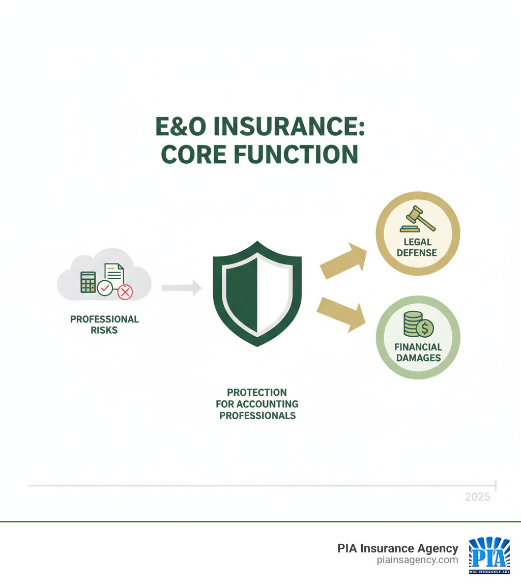 core function of E&O insurance - accountant E&O insurance infographic core function of E&O insurance - accountant E&O insurance infographic