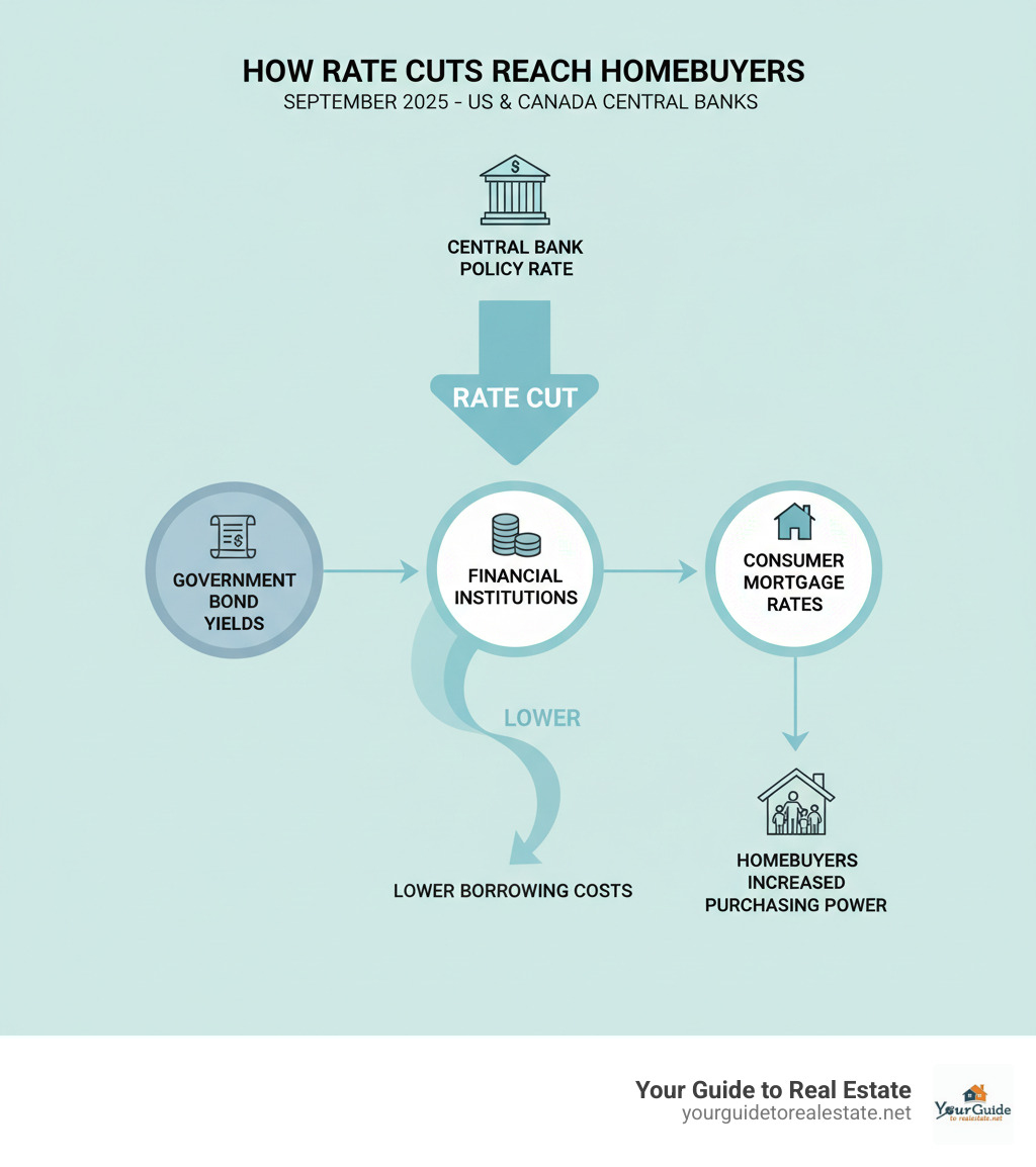 Infographic showing the relationship between central bank policy rates, government bond yields, and consumer mortgage rates, with arrows indicating how rate cuts flow through the financial system to impact homebuyers - did interest rates go down today infographic 