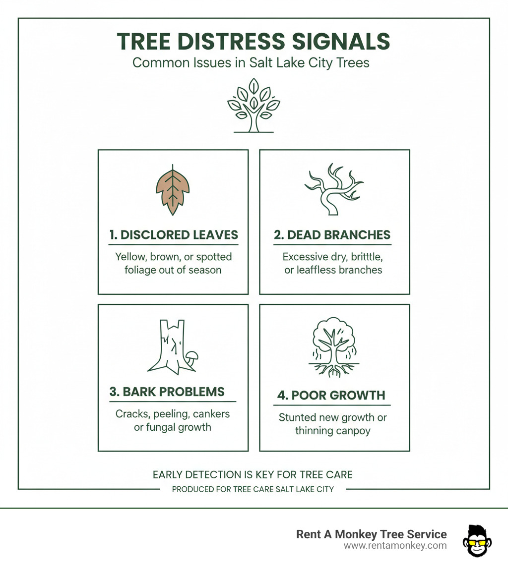 infographic showing common signs of tree distress - tree care Salt Lake City infographic 