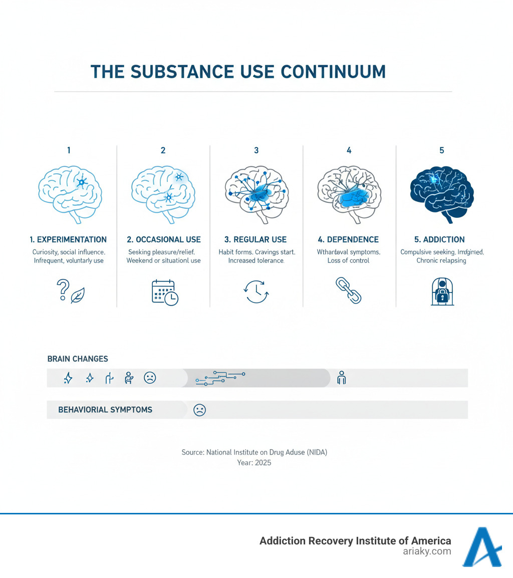 Infographic showing the progression of substance use from initial experimentation through occasional use, regular use, dependence, and addiction, with brain changes and behavioral symptoms at each stage - substance abuse treatment infographic 