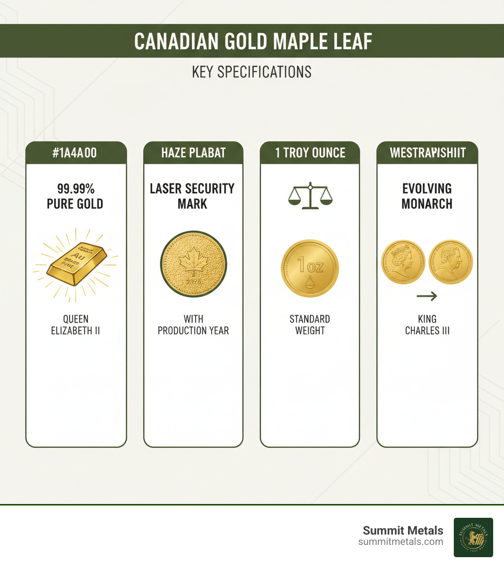 Infographic showing Canadian Gold Maple Leaf key specifications: 99.99% pure gold content, laser-engraved security privy mark with production year, 1 troy ounce standard weight, and evolving monarch effigy from Queen Elizabeth II to King Charles III - golden maple leaf coin infographic 
