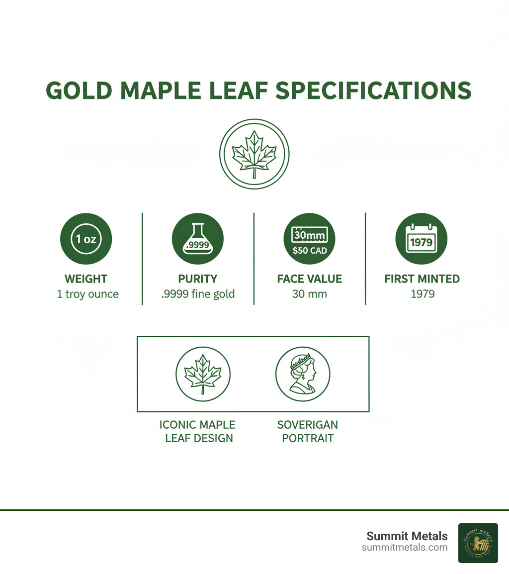 Infographic showing Gold Maple Leaf specifications: 1 troy ounce weight, .9999 fine gold purity, 30mm diameter, $50 CAD face value, first minted in 1979, featuring iconic maple leaf design and Queen Elizabeth II or King Charles III portrait - Gold Maple Leaf infographic 