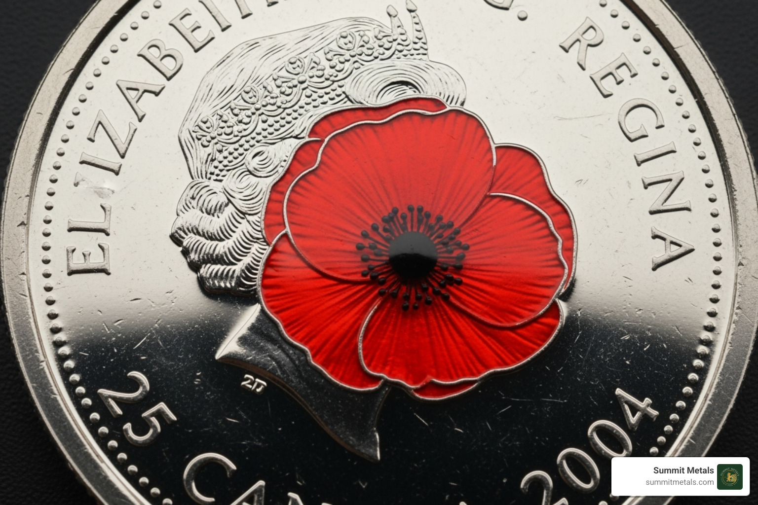 2004 coloured Poppy quarter - canada coin