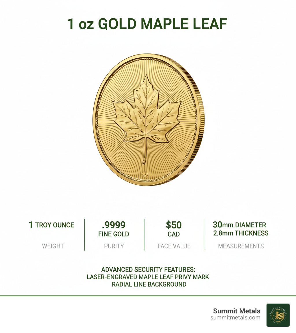 Detailed specifications infographic showing 1 oz Gold Maple Leaf coin with measurements: 1 Troy Ounce weight, .9999 Fine Gold purity, $50 CAD face value, 30mm diameter, 2.8mm thickness, and advanced security features including laser-engraved maple leaf privy mark and radial line background - 1 oz gold maple coin infographic 