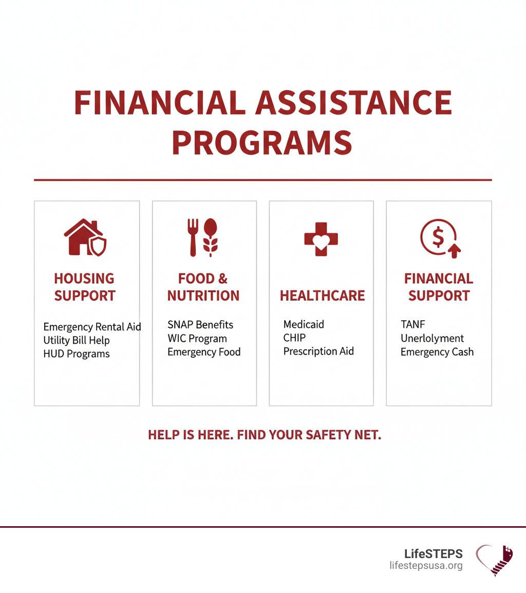 Comprehensive infographic showing four main categories of financial assistance programs: Housing Support (emergency rental assistance, utility bill help, HUD programs), Food & Nutrition (SNAP, WIC, emergency food programs), Healthcare (Medicaid, CHIP, prescription assistance), and Financial Support (TANF, unemployment benefits, emergency cash assistance), with icons and brief descriptions for each category - financial hardship assistance programs infographic 