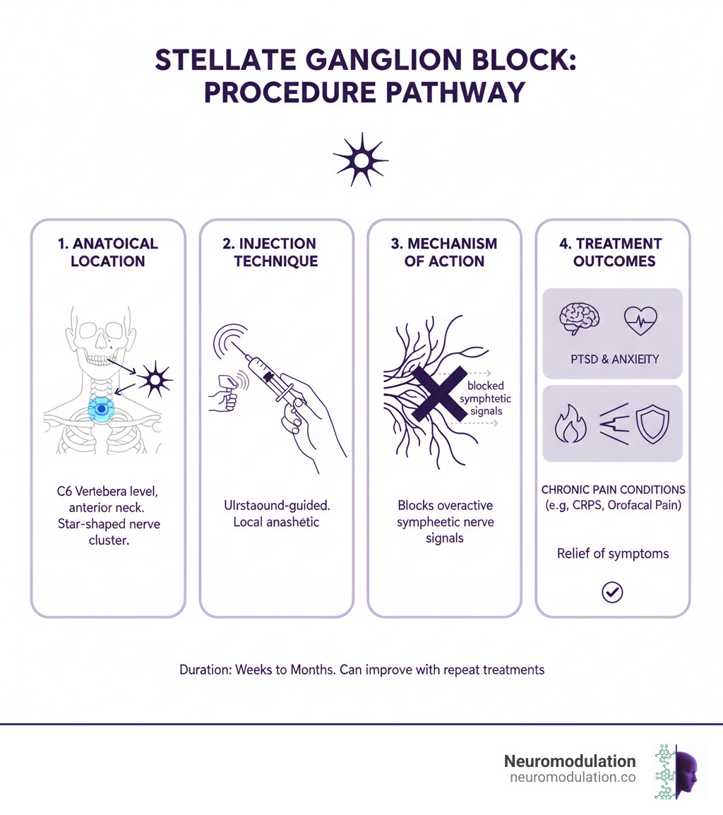 Comprehensive stellate ganglion block procedure pathway showing anatomical location, injection technique, mechanism of action blocking sympathetic nerve signals, and treatment outcomes for pain conditions and PTSD - Stellate ganglion block infographic 