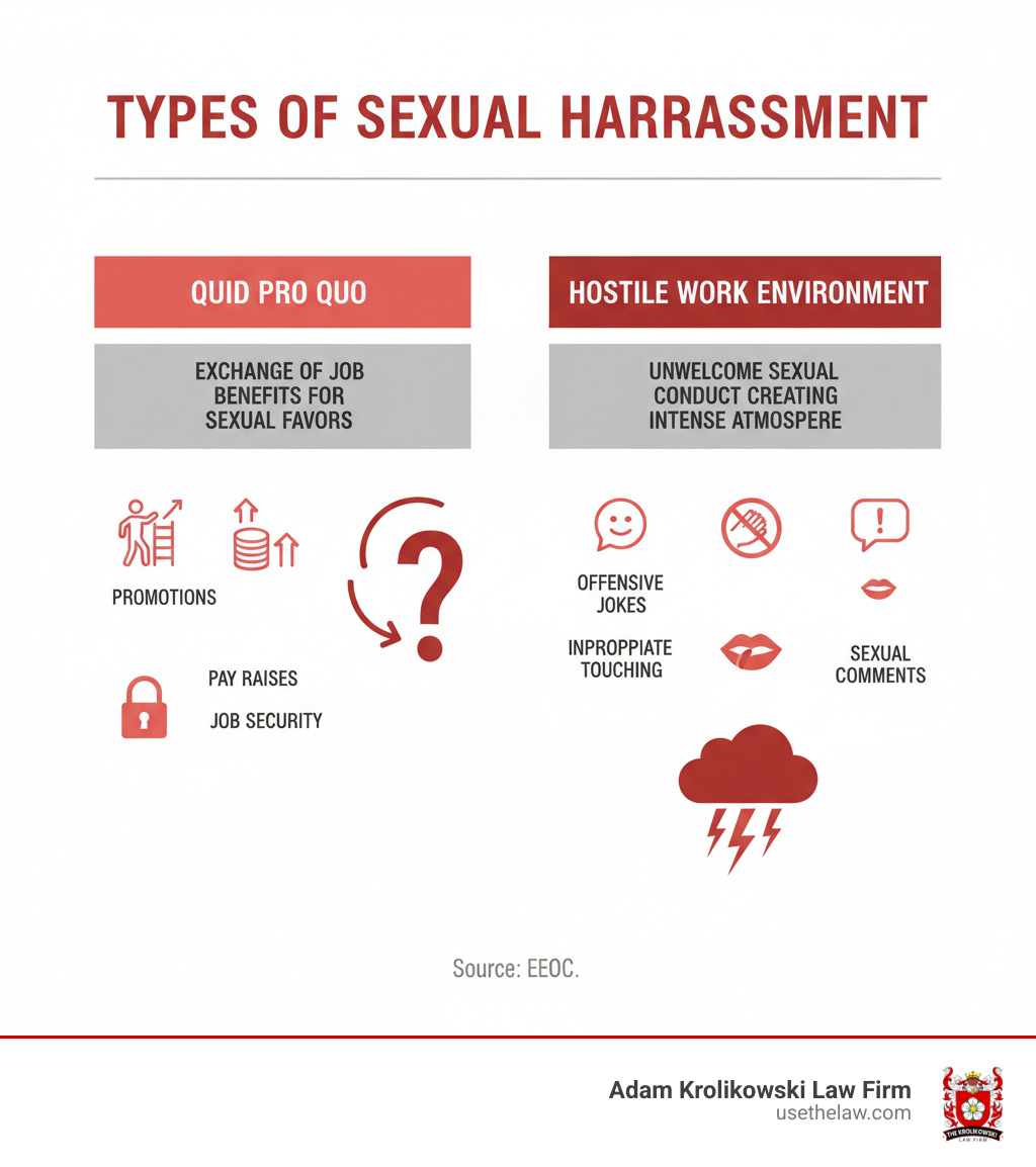 Infographic showing two types of sexual harassment: Quid Pro Quo harassment (exchange of job benefits for sexual favors with examples like promotions, raises, or job security) and Hostile Work Environment (unwelcome sexual conduct creating intimidating atmosphere with examples like offensive jokes, inappropriate touching, or sexual comments) - sexual harassment settlement cases infographic Infographic showing two types of sexual harassment: Quid Pro Quo harassment (exchange of job benefits for sexual favors with examples like promotions, raises, or job security) and Hostile Work Environment (unwelcome sexual conduct creating intimidating atmosphere with examples like offensive jokes, inappropriate touching, or sexual comments) - sexual harassment settlement cases infographic