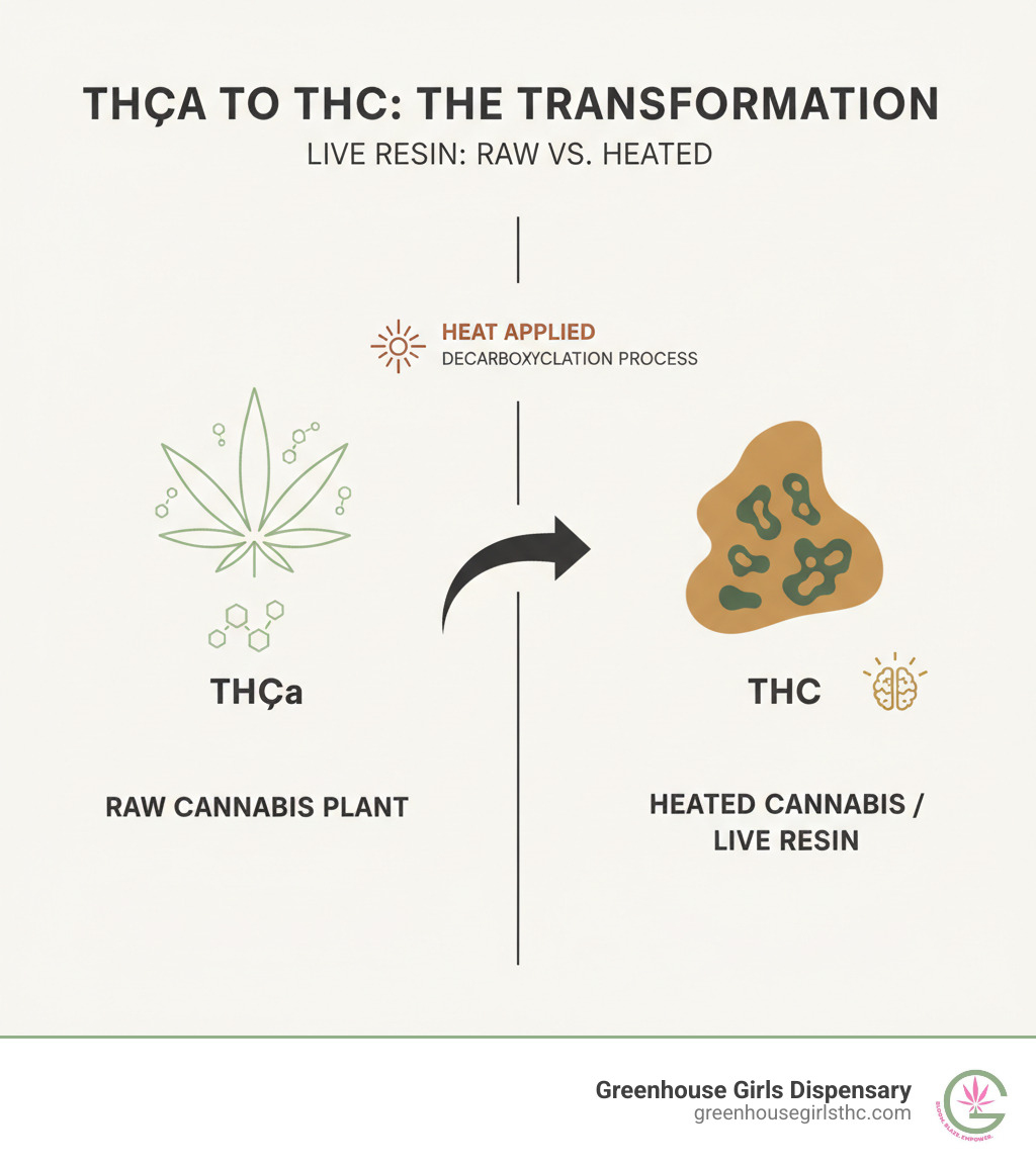 Infographic showing raw cannabis plant containing THCa molecules changing into THC molecules when heat is applied, with arrows indicating the decarboxylation process - is live resin thc or thca infographic 