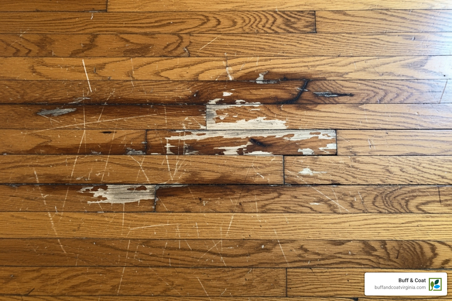 a damaged hardwood floor with scratches and water stains - cost of refurbishing wood floors a damaged hardwood floor with scratches and water stains - cost of refurbishing wood floors