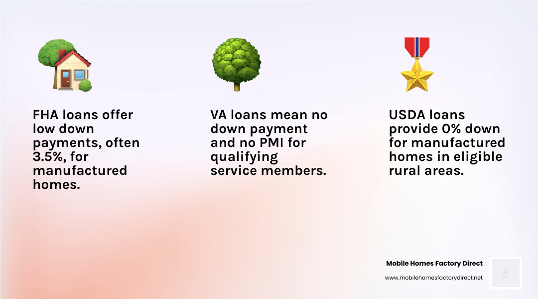 Comparison of FHA, USDA, and VA loans for manufactured homes - government loans for manufactured homes infographic 3_facts_emoji_light-gradient