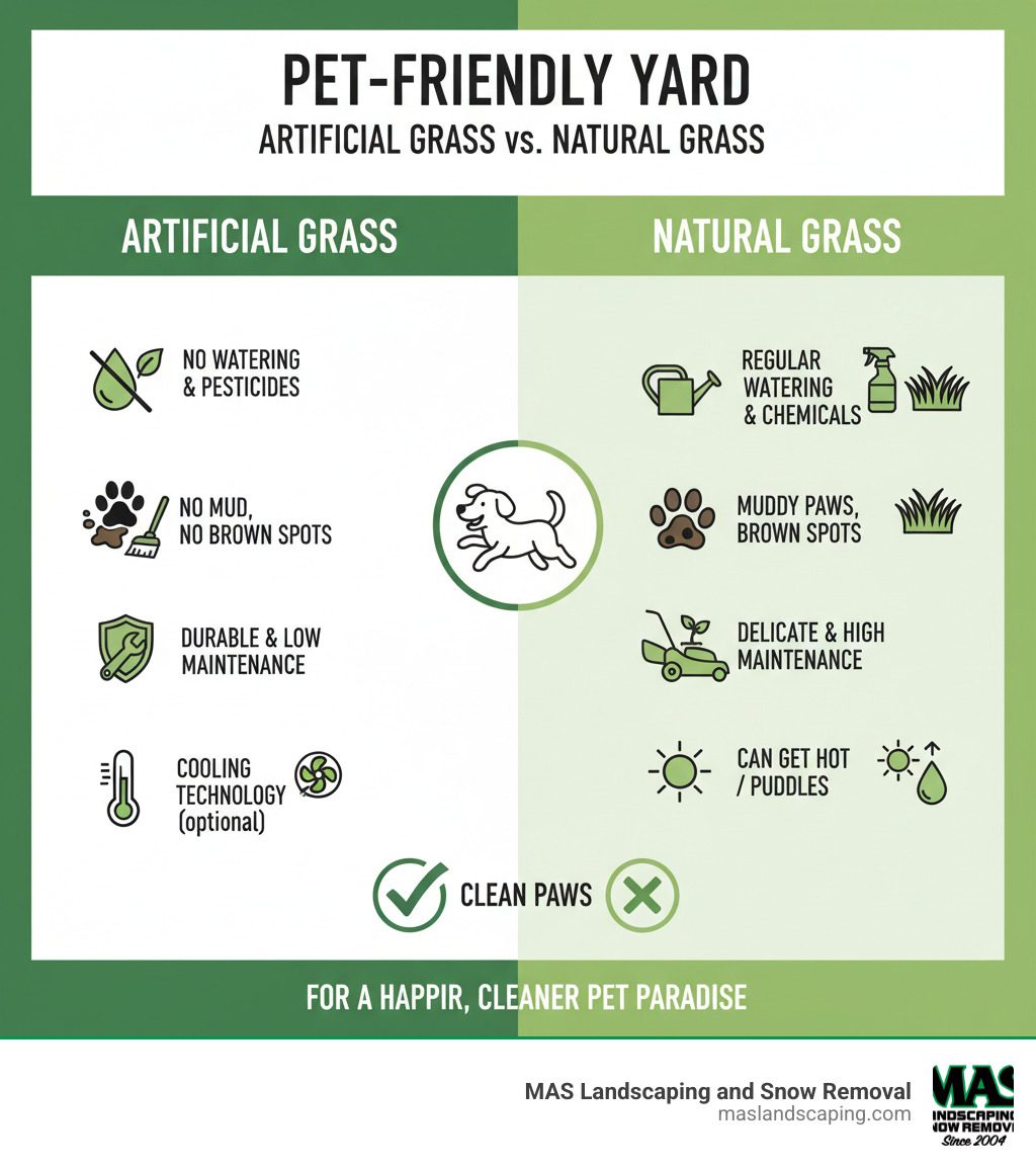 infographic comparing artificial grass vs natural grass for pets - Fake grass for pets infographic 