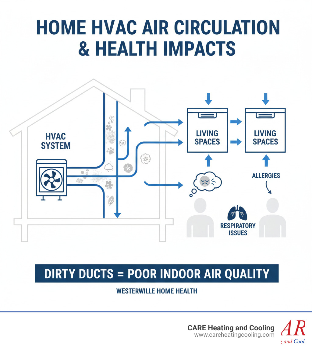 Infographic showing how dust, pet dander, pollen, and other contaminants circulate through a home's HVAC system, with arrows indicating airflow from dirty ducts through vents into living spaces, and highlighting health impacts like allergies and respiratory issues - hvac cleaning service westerville infographic  Infographic showing how dust, pet dander, pollen, and other contaminants circulate through a home's HVAC system, with arrows indicating airflow from dirty ducts through vents into living spaces, and highlighting health impacts like allergies and respiratory issues - hvac cleaning service westerville infographic