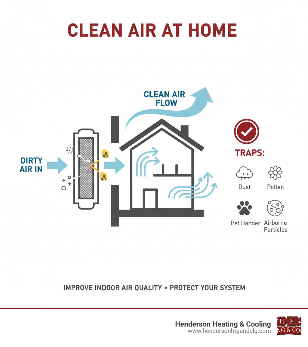 Infographic showing how HVAC air filters trap dust, pollen, pet dander, and other airborne particles as air circulates through a home's heating and cooling system, with arrows indicating clean air flow - air filter replacement lebanon mo infographic 