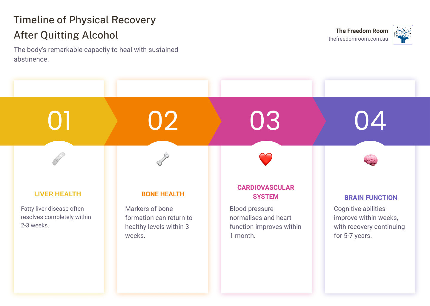 An infographic titled "Timeline of Physical Recovery After Quitting Alcohol," showing how the body heals in four stages