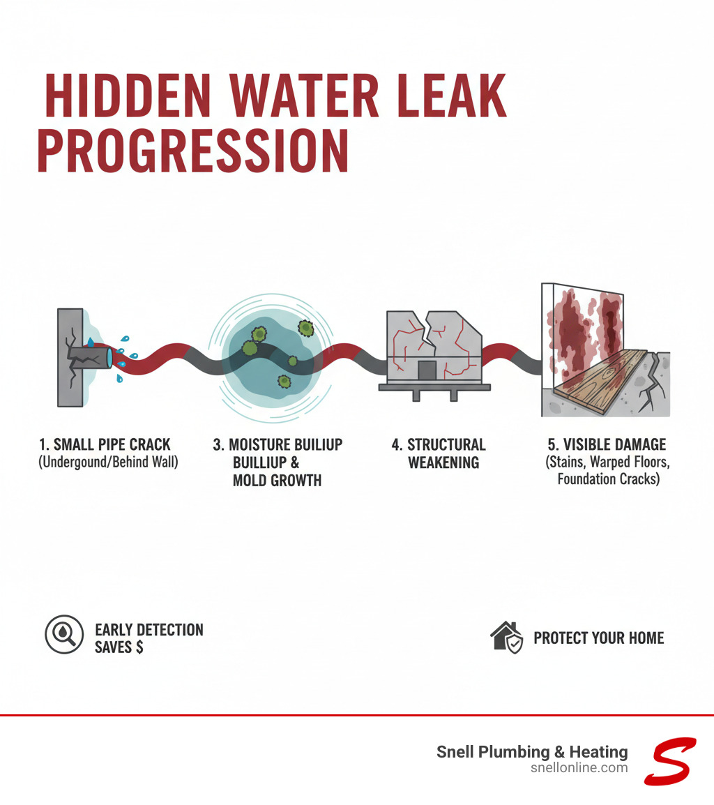 Detailed infographic showing the progression of a hidden water leak: starting with a small pipe crack underground or behind a wall, moving through stages of water seepage, moisture buildup, mold growth, structural weakening, and finally visible damage like water stains, warped floors, and foundation cracks - leak detection service springfield il infographic 