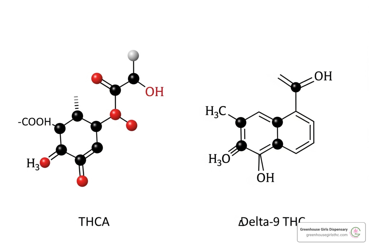 Molecular structure of THCA and THC - is thca flower legal in florida