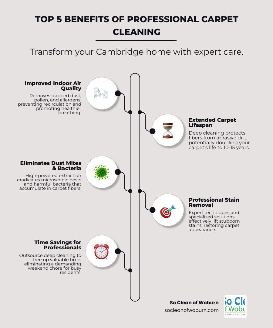 Infographic showing the top 5 benefits of professional carpet cleaning: improved indoor air quality through allergen removal, extended carpet lifespan up to 15 years, elimination of dust mites and bacteria, professional stain removal techniques, and time savings for busy professionals - carpet cleaning cambridge infographic infographic-line-5-steps-neat_beige Infographic showing the top 5 benefits of professional carpet cleaning: improved indoor air quality through allergen removal, extended carpet lifespan up to 15 years, elimination of dust mites and bacteria, professional stain removal techniques, and time savings for busy professionals - carpet cleaning cambridge infographic infographic-line-5-steps-neat_beige