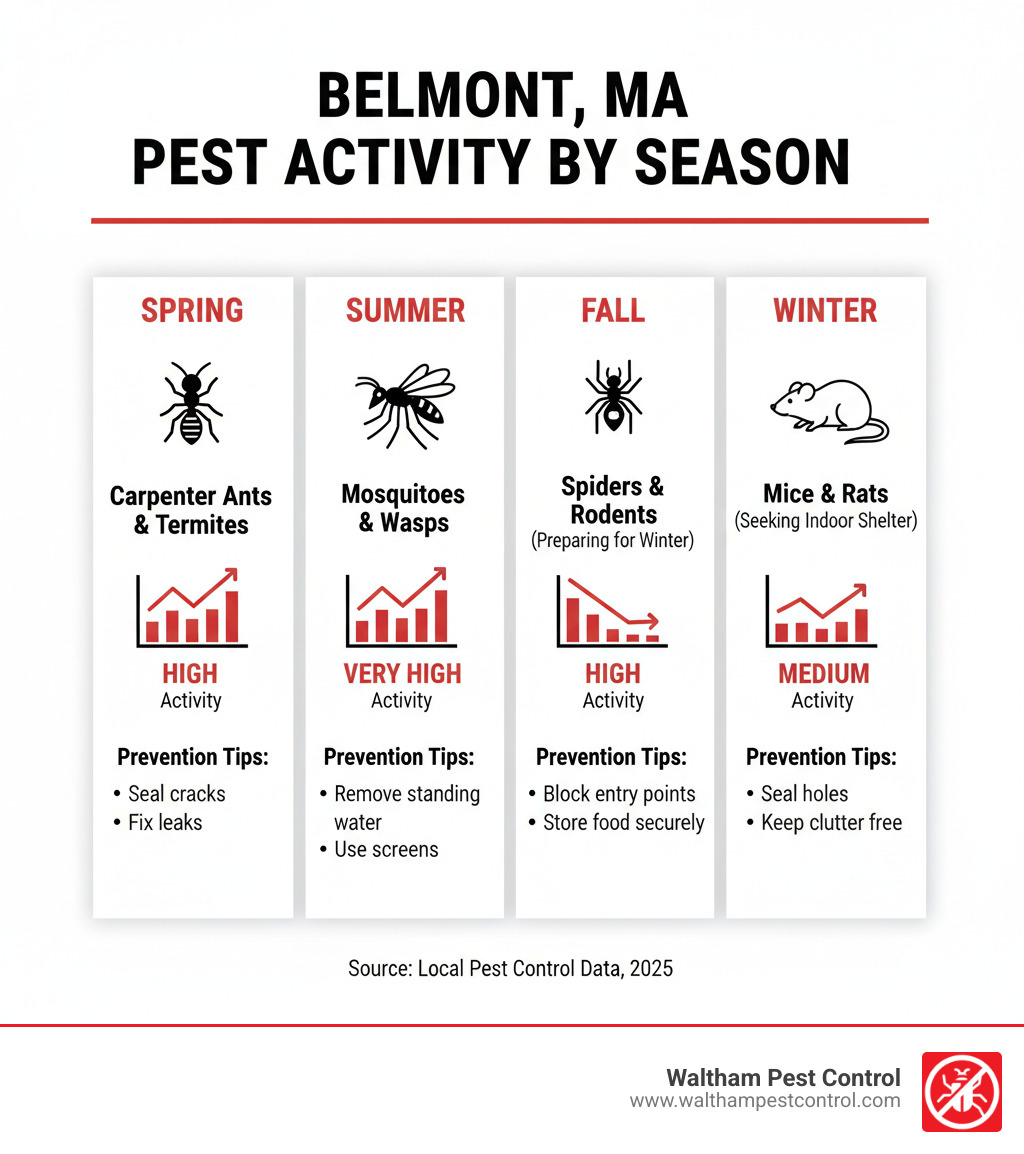 Infographic showing the most common pests in Belmont Massachusetts by season - spring carpenter ants and termites, summer mosquitoes and wasps, fall spiders and rodents preparing for winter, winter mice and rats seeking indoor shelter, with activity levels and prevention tips for each season - belmont exterminator infographic 