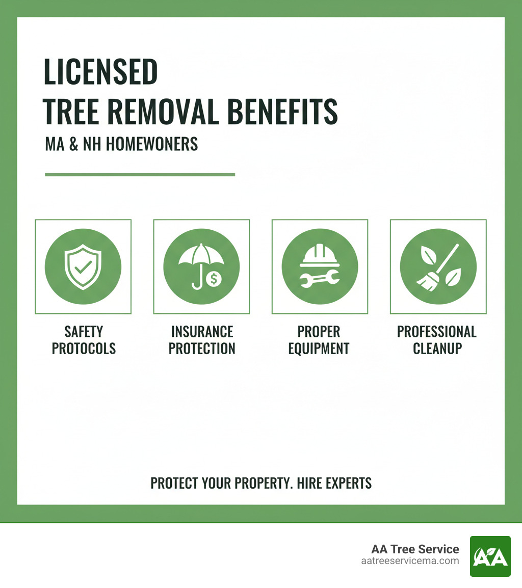 Comprehensive guide showing the benefits of hiring licensed tree removal services including safety protocols, insurance protection, proper equipment usage, and professional cleanup standards for Massachusetts and New Hampshire homeowners - licensed tree removal service near me infographic Comprehensive guide showing the benefits of hiring licensed tree removal services including safety protocols, insurance protection, proper equipment usage, and professional cleanup standards for Massachusetts and New Hampshire homeowners - licensed tree removal service near me infographic