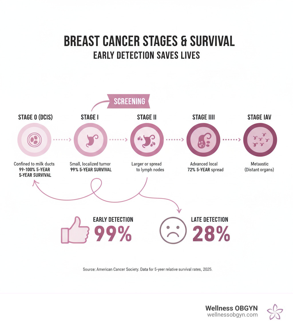 Comprehensive infographic showing breast cancer stages from Stage 0 (DCIS) through Stage IV, with survival rates at each stage, highlighting how early detection through screening leads to Stage I detection with 99% five-year survival rate versus Stage IV with 28% five-year survival rate - breast cancer screening infographic 