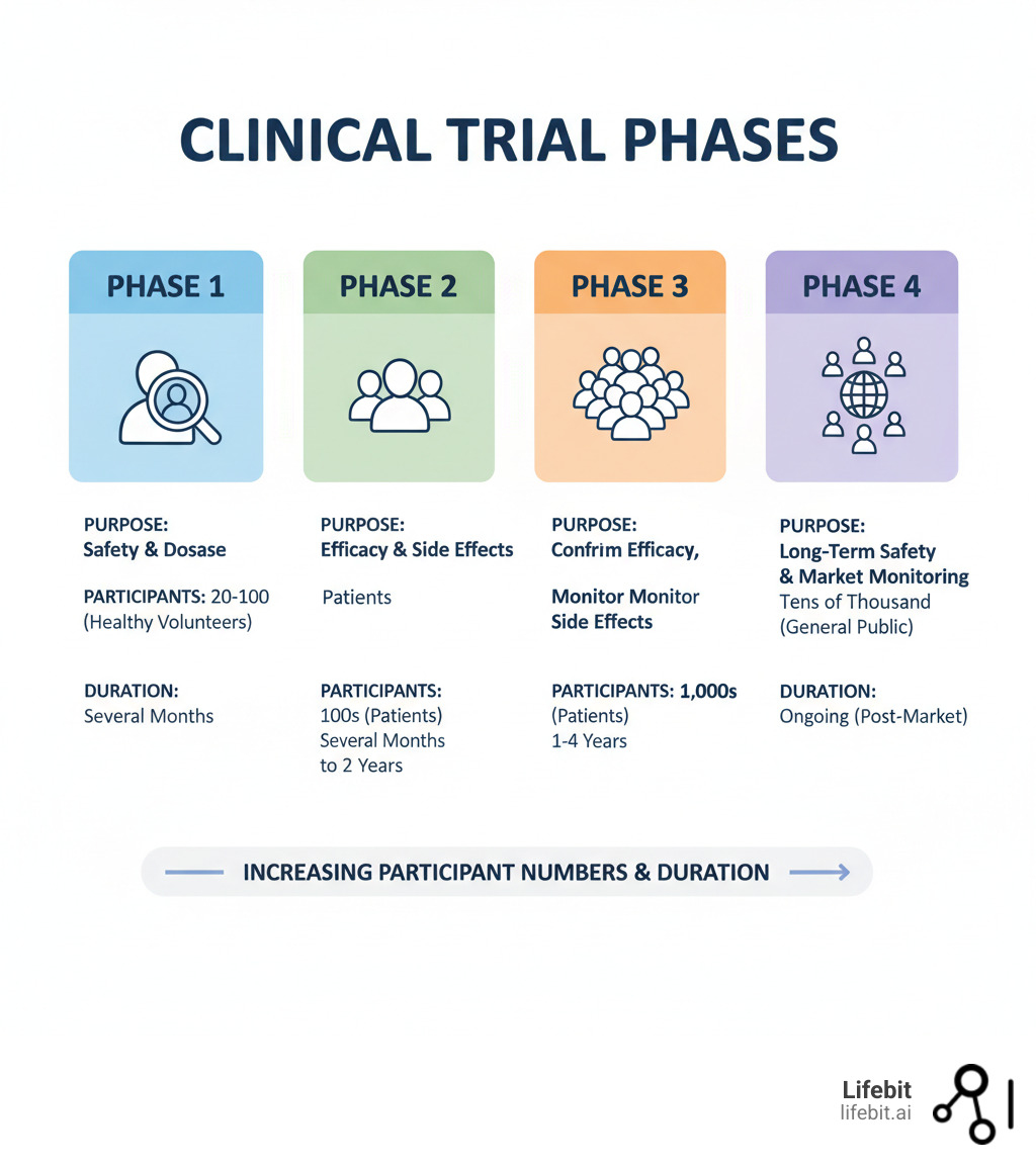 infographic detailing the purpose, participants, and duration of each of the four clinical trial phases - clinical trial infographic 
