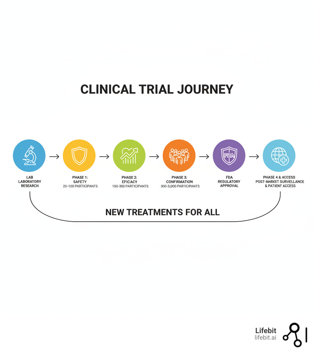 Infographic showing the clinical trial journey from laboratory research through Phase 1 safety testing with 20-100 participants, Phase 2 efficacy testing with 100-300 participants, Phase 3 large-scale confirmation with 300-3,000 participants, FDA approval process, and Phase 4 post-market surveillance, culminating in widespread patient access to new treatments - clinical trial infographic 