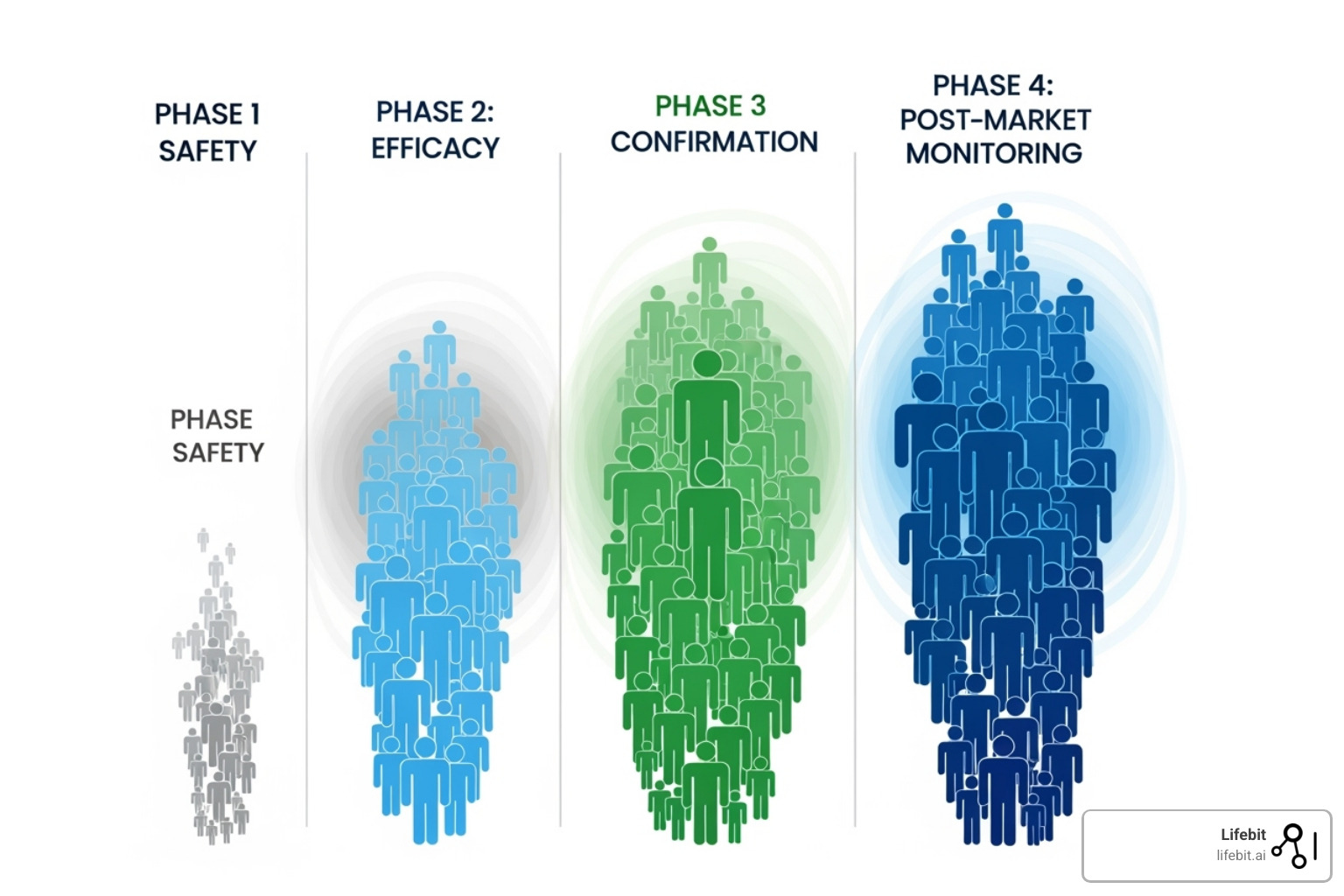 illustration of increasing number of participants through the four phases - clinical trial