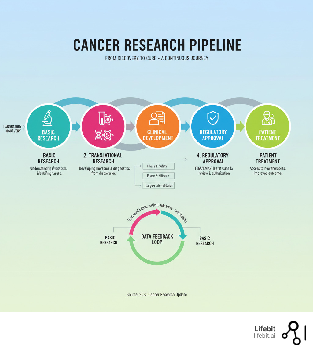 Comprehensive infographic showing the cancer research pipeline from laboratory findy through clinical trials to patient treatment, including stages of basic research, translational research, clinical development, regulatory approval, and real-world implementation with data feedback loops - cancer research infographic 