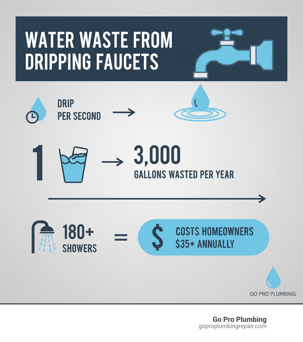 Infographic showing annual water waste from dripping faucets: 1 drip per second equals 3,000 gallons wasted per year, equivalent to 180 showers, costing homeowners $35+ annually in water bills - faucet and sink repair infographic 