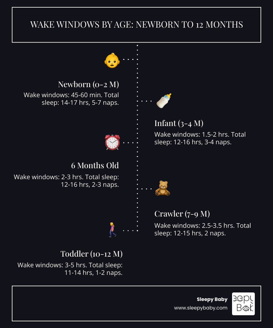 Infographic showing wake windows by age from newborn to 12 months, with 6-month-old wake windows highlighted at 2-3 hours, showing progression from 45-60 minutes for newborns to 3-5 hours for 12-month-olds, including total sleep needs and number of naps for each age group - 6 month old wake windows infographic infographic-line-5-steps-dark Infographic showing wake windows by age from newborn to 12 months, with 6-month-old wake windows highlighted at 2-3 hours, showing progression from 45-60 minutes for newborns to 3-5 hours for 12-month-olds, including total sleep needs and number of naps for each age group - 6 month old wake windows infographic infographic-line-5-steps-dark