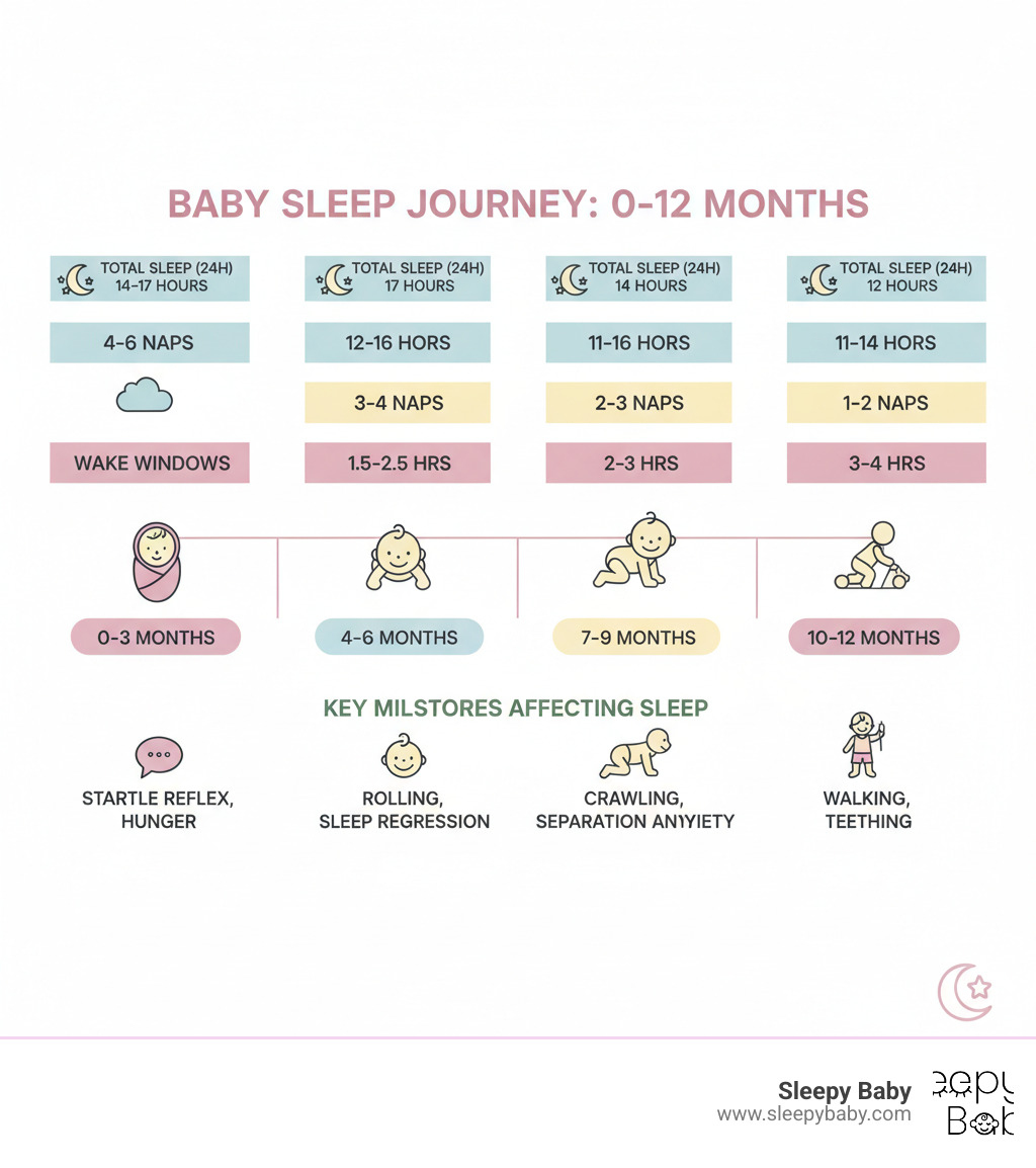 Comprehensive infographic showing baby sleep development from 0-12 months including total sleep hours, number of naps, wake windows, and key developmental milestones affecting sleep patterns - baby sleep infographic 
