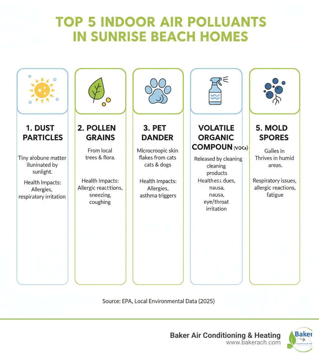Infographic showing the top 5 common indoor air pollutants in Sunrise Beach homes: dust particles floating in sunlight, pollen grains from local trees, pet dander from cats and dogs, volatile organic compounds from cleaning products, and mold spores in humid areas, with icons and brief descriptions of health impacts for each pollutant - indoor air quality maintenance sunrise beach mo infographic 