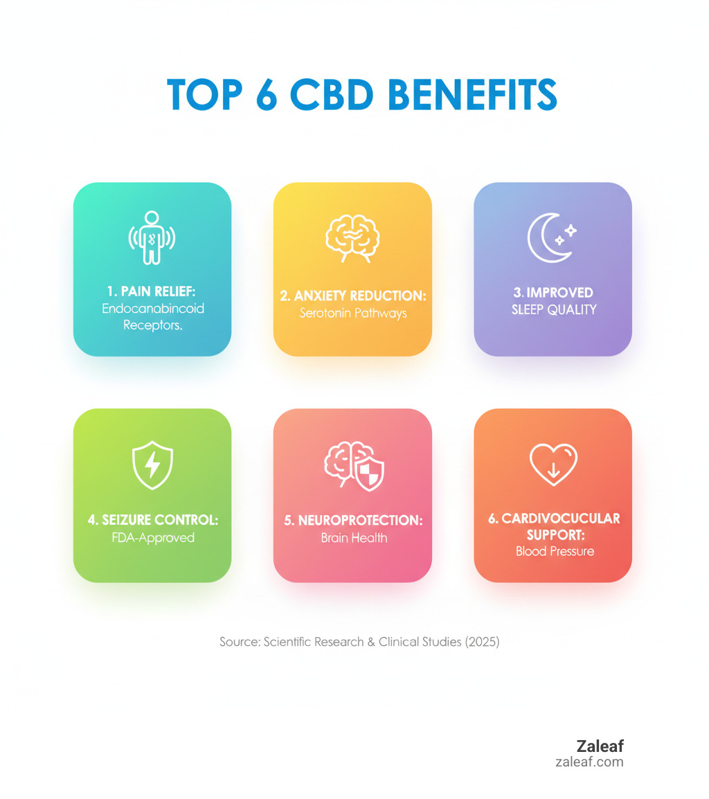 Infographic showing the top 6 CBD benefits: pain relief through endocannabinoid receptors, anxiety reduction via serotonin pathways, improved sleep quality, FDA-approved seizure control, neuroprotective properties for brain health, and cardiovascular support through blood pressure reduction - cbd benefits infographic 