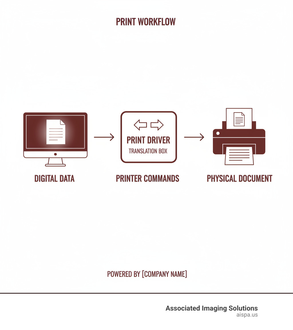 Infographic showing the complete print job workflow: a document on a computer screen flowing through a print driver (represented as a translation box) which converts the digital data into printer commands, then traveling to a printer which outputs the final printed page - print drivers infographic Infographic showing the complete print job workflow: a document on a computer screen flowing through a print driver (represented as a translation box) which converts the digital data into printer commands, then traveling to a printer which outputs the final printed page - print drivers infographic