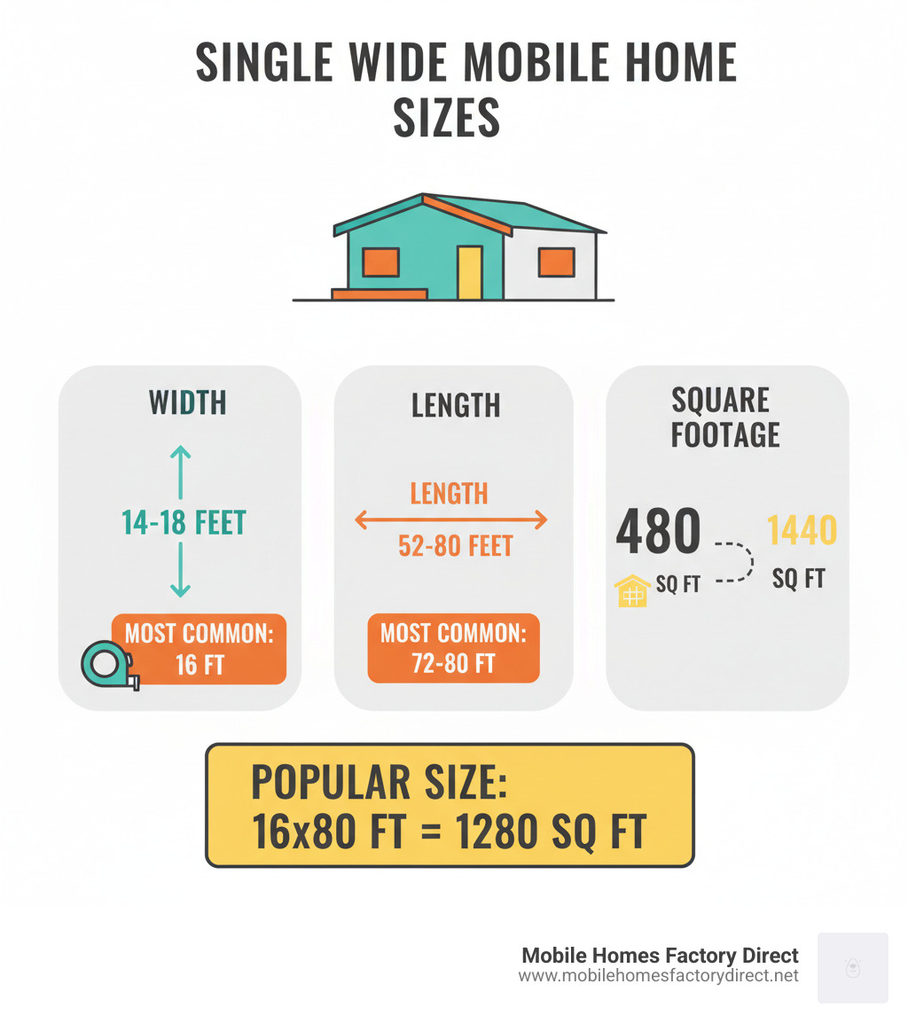 Comprehensive breakdown of single wide mobile home dimensions showing width ranges from 14-18 feet, length ranges from 52-80 feet, and corresponding square footage from 480-1440 sq ft, with popular 16x80 configuration highlighted - single wide mobile home sizes infographic 