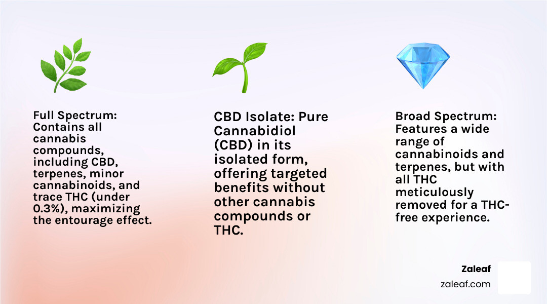 Comprehensive comparison chart showing Full Spectrum hemp containing all cannabinoids including trace THC, Broad Spectrum with all compounds except THC, and CBD Isolate with pure CBD only, highlighting the entourage effect benefits of full spectrum products - full spectrum hemp infographic 3_facts_emoji_light-gradient