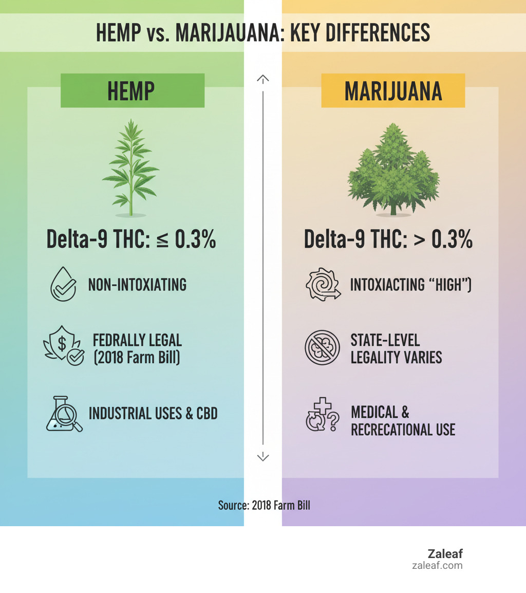 Infographic illustrating key differences between hemp and marijuana - Farm Bill compliant infographic 