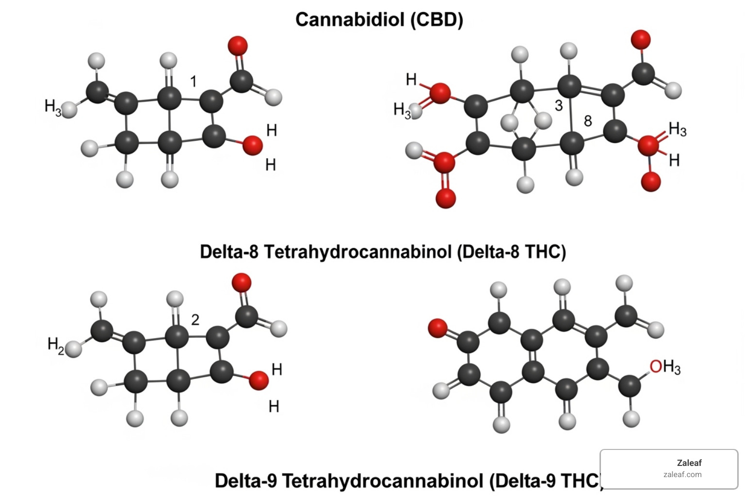 Molecular structures of CBD, Delta-8 THC, and Delta-9 THC - Farm Bill compliant