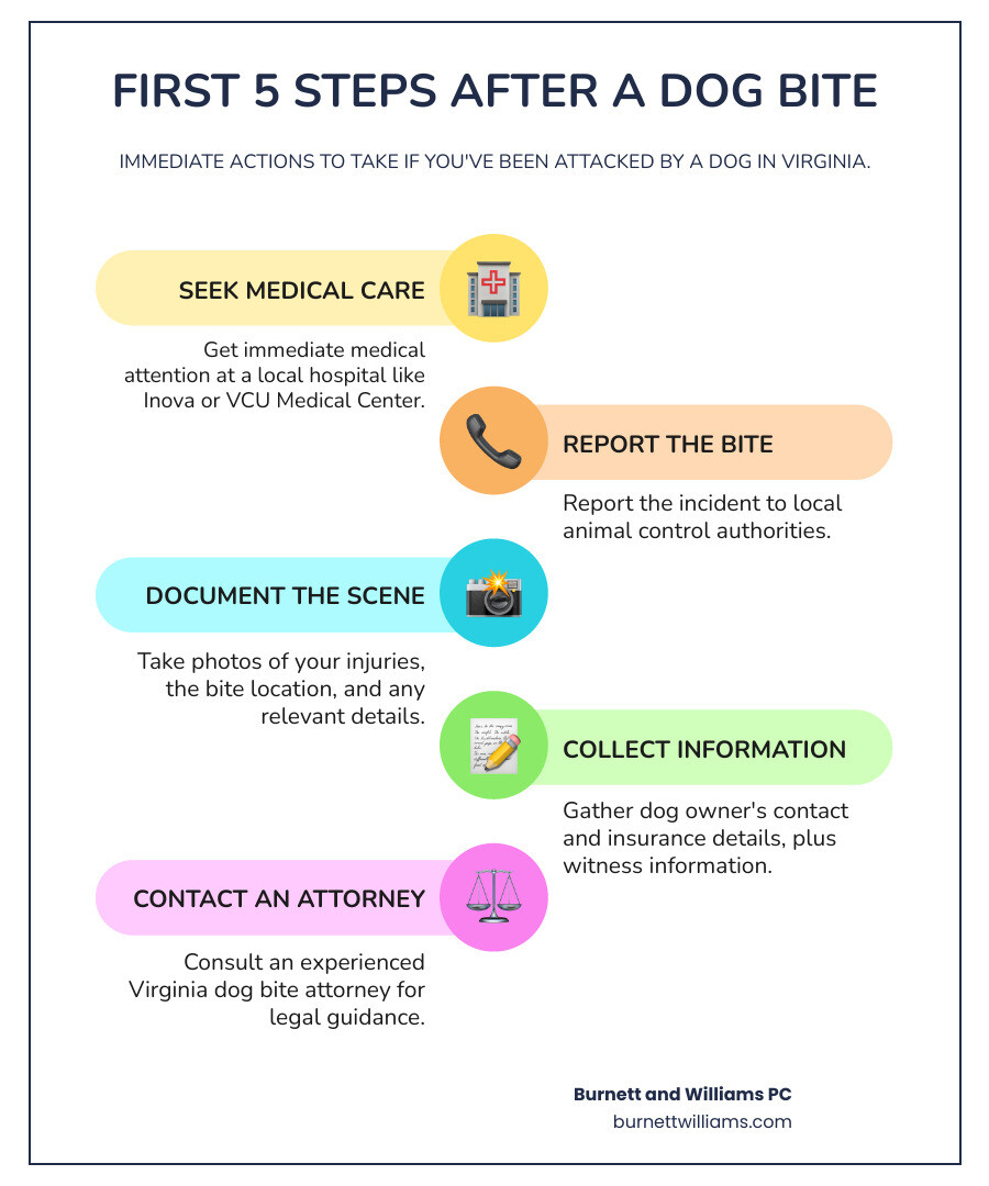 Infographic showing the first 5 steps to take after a dog bite in Virginia: 1) Seek immediate medical attention at local hospitals like Inova or VCU Medical Center, 2) Report the incident to animal control authorities, 3) Document injuries and scene with photos, 4) Gather dog owner's contact and insurance information, 5) Contact an experienced Virginia dog bite attorney - dog bite attorney infographic infographic-line-5-steps-colors Infographic showing the first 5 steps to take after a dog bite in Virginia: 1) Seek immediate medical attention at local hospitals like Inova or VCU Medical Center, 2) Report the incident to animal control authorities, 3) Document injuries and scene with photos, 4) Gather dog owner's contact and insurance information, 5) Contact an experienced Virginia dog bite attorney - dog bite attorney infographic infographic-line-5-steps-colors