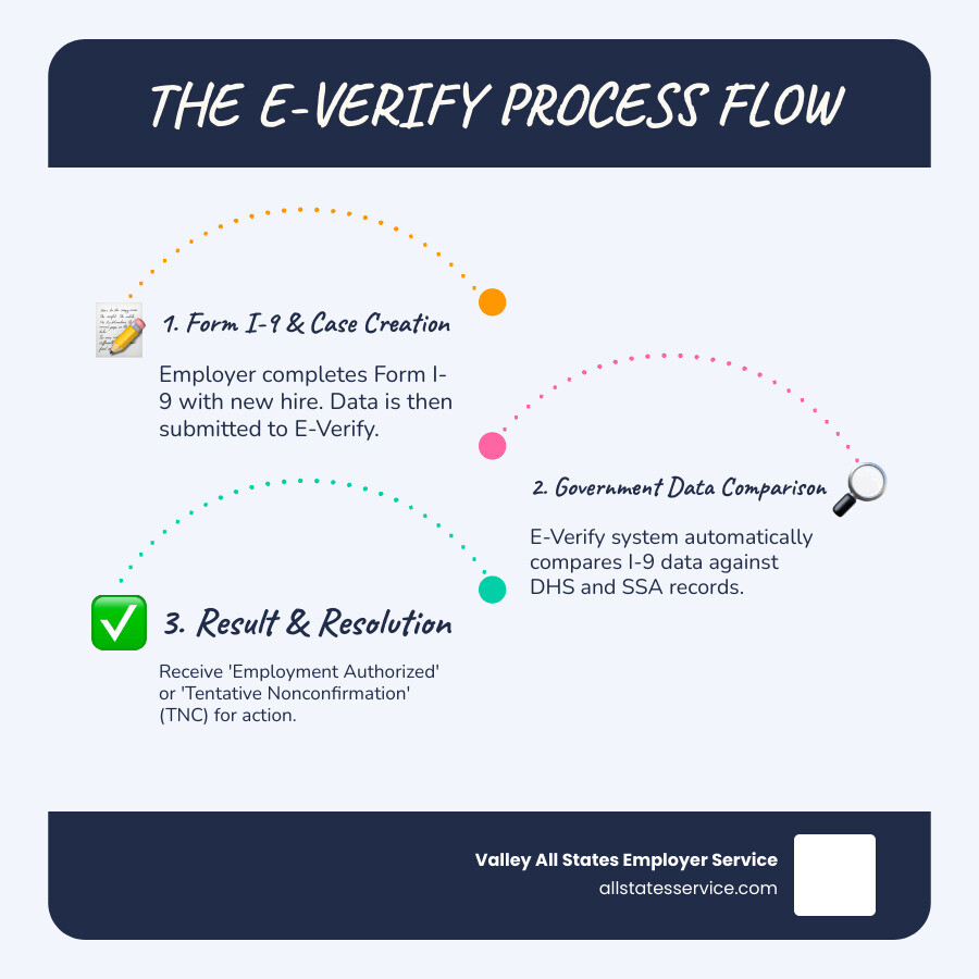 Comprehensive E-Verify workflow infographic showing the complete process from job offer acceptance through Form I-9 completion, E-Verify case creation, government database comparison, result delivery, and final case resolution with all possible outcomes including Employment Authorized and Tentative Nonconfirmation paths - E-Verify workforce solutions infographic infographic-line-3-steps-blues-accent_colors