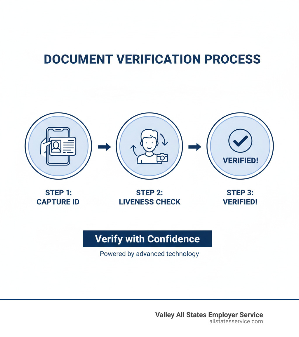 Infographic showing the 3-step document verification process: Step 1 shows a mobile phone capturing a photo of a driver's license, Step 2 displays a person taking a selfie for liveness check, and Step 3 shows a green checkmark with "Verified" status, all connected by arrows in a simple workflow diagram - Document verification service infographic 
