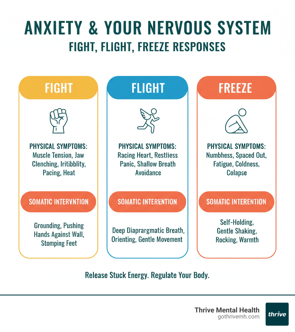 How anxiety hijacks your nervous system through fight, flight, and freeze responses, showing physical symptoms and somatic experiencing interventions for each state - somatic experiencing for anxiety infographic 