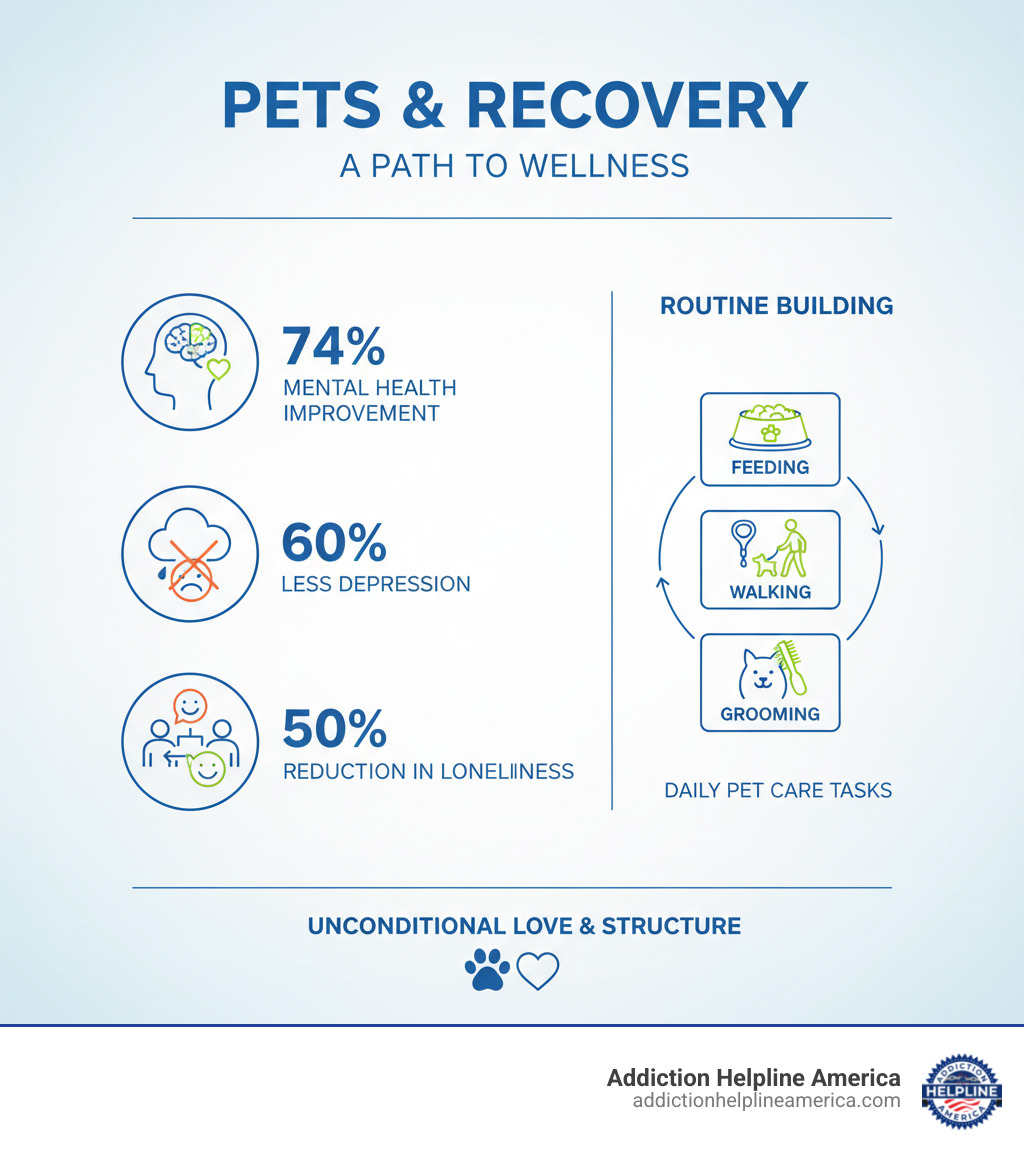 Infographic showing pet ownership benefits in recovery: 74% mental health improvement, 60% less depression, 50% reduction in loneliness, plus routine building through daily pet care tasks like feeding, walking, and grooming - sober living that allows pets infographic  Infographic showing pet ownership benefits in recovery: 74% mental health improvement, 60% less depression, 50% reduction in loneliness, plus routine building through daily pet care tasks like feeding, walking, and grooming - sober living that allows pets infographic