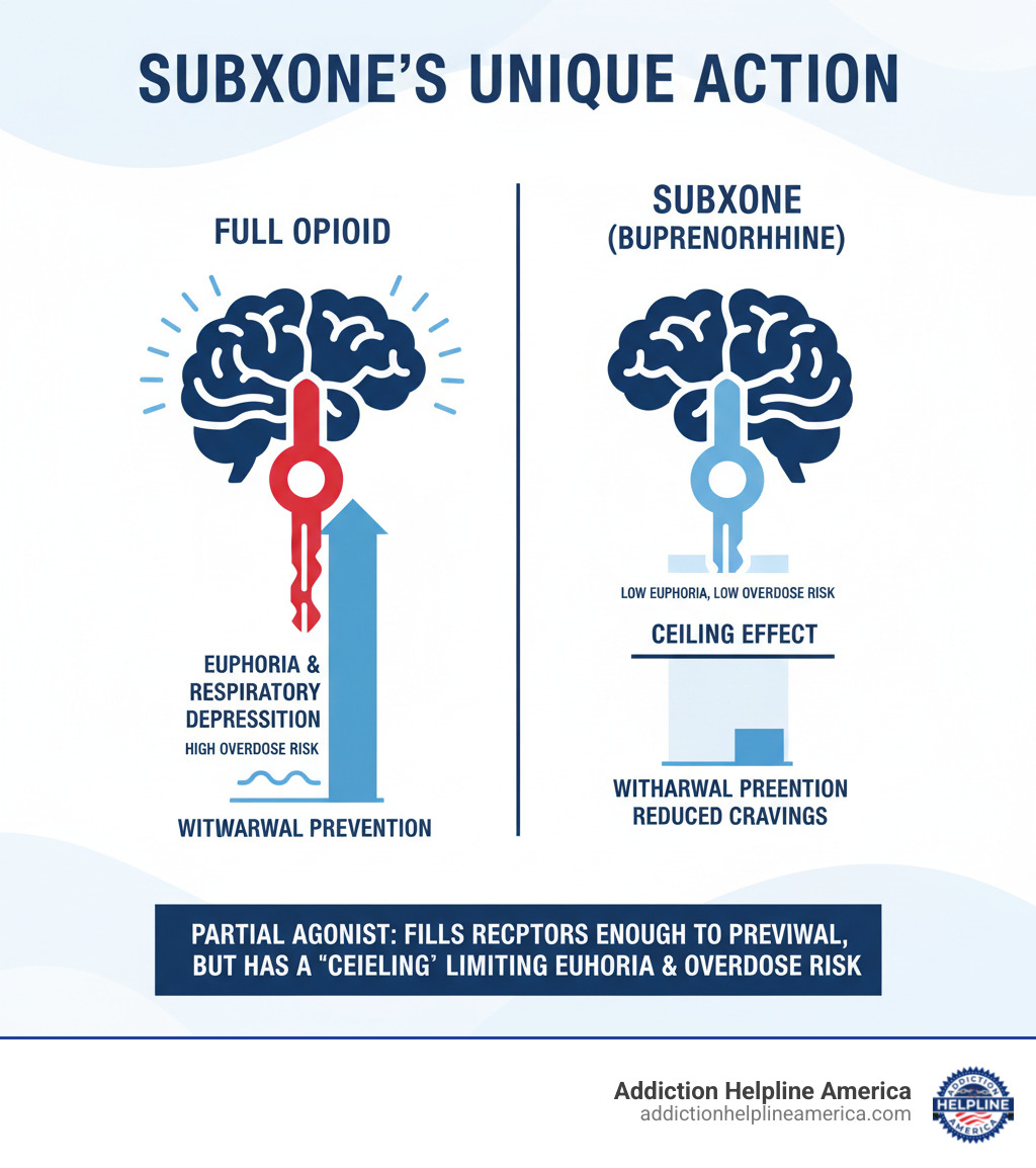 Infographic showing how Suboxone's partial opioid agonist properties work on brain receptors compared to full opioids, illustrating the ceiling effect that reduces overdose risk and euphoria while still preventing withdrawal symptoms - Suboxone for opioid addiction infographic  Infographic showing how Suboxone's partial opioid agonist properties work on brain receptors compared to full opioids, illustrating the ceiling effect that reduces overdose risk and euphoria while still preventing withdrawal symptoms - Suboxone for opioid addiction infographic