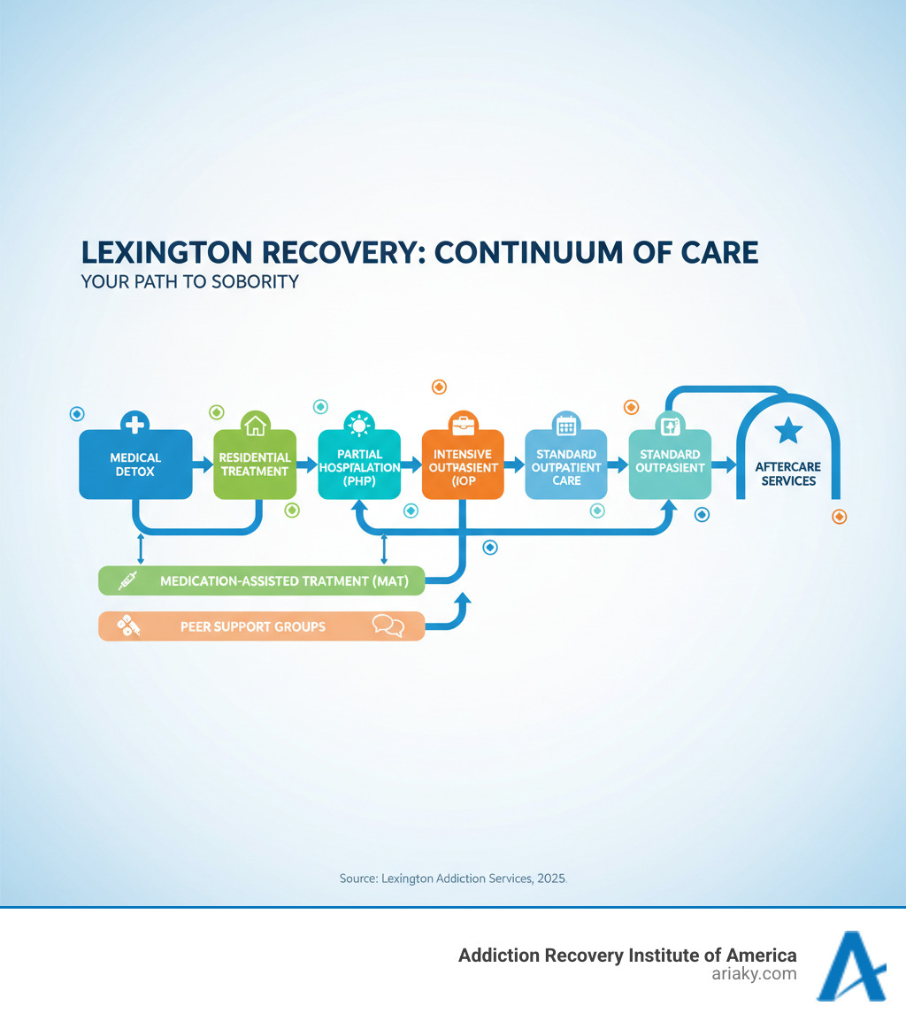 Comprehensive infographic showing the complete continuum of drug recovery care in Lexington, including medical detox, residential treatment, partial hospitalization programs, intensive outpatient programs, standard outpatient care, medication-assisted treatment options, peer support groups, and aftercare services with arrows showing progression between levels - drug recovery Lexington infographic  Comprehensive infographic showing the complete continuum of drug recovery care in Lexington, including medical detox, residential treatment, partial hospitalization programs, intensive outpatient programs, standard outpatient care, medication-assisted treatment options, peer support groups, and aftercare services with arrows showing progression between levels - drug recovery Lexington infographic